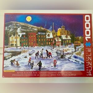 New Eurographics “After School Fun” Colorful Winter Hockey Scene 1000 pc puzzle